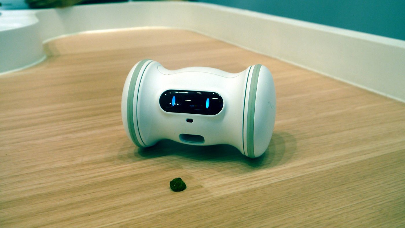 reddot，intelligence，Pet Supplies & Pet，VARRAM，2019 red dot product design award，