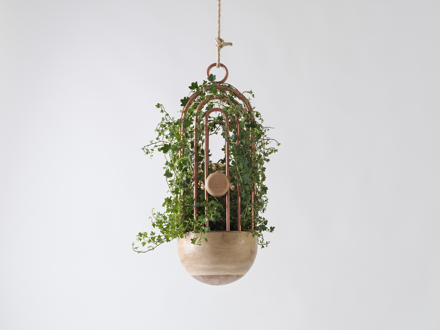 cage，Metal，Green plants，Home Furnishing，decorate，