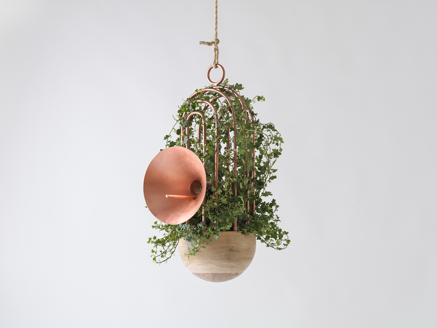 cage，Metal，Green plants，Home Furnishing，decorate，