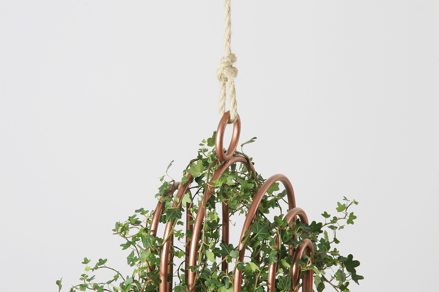 cage，Metal，Green plants，Home Furnishing，decorate，