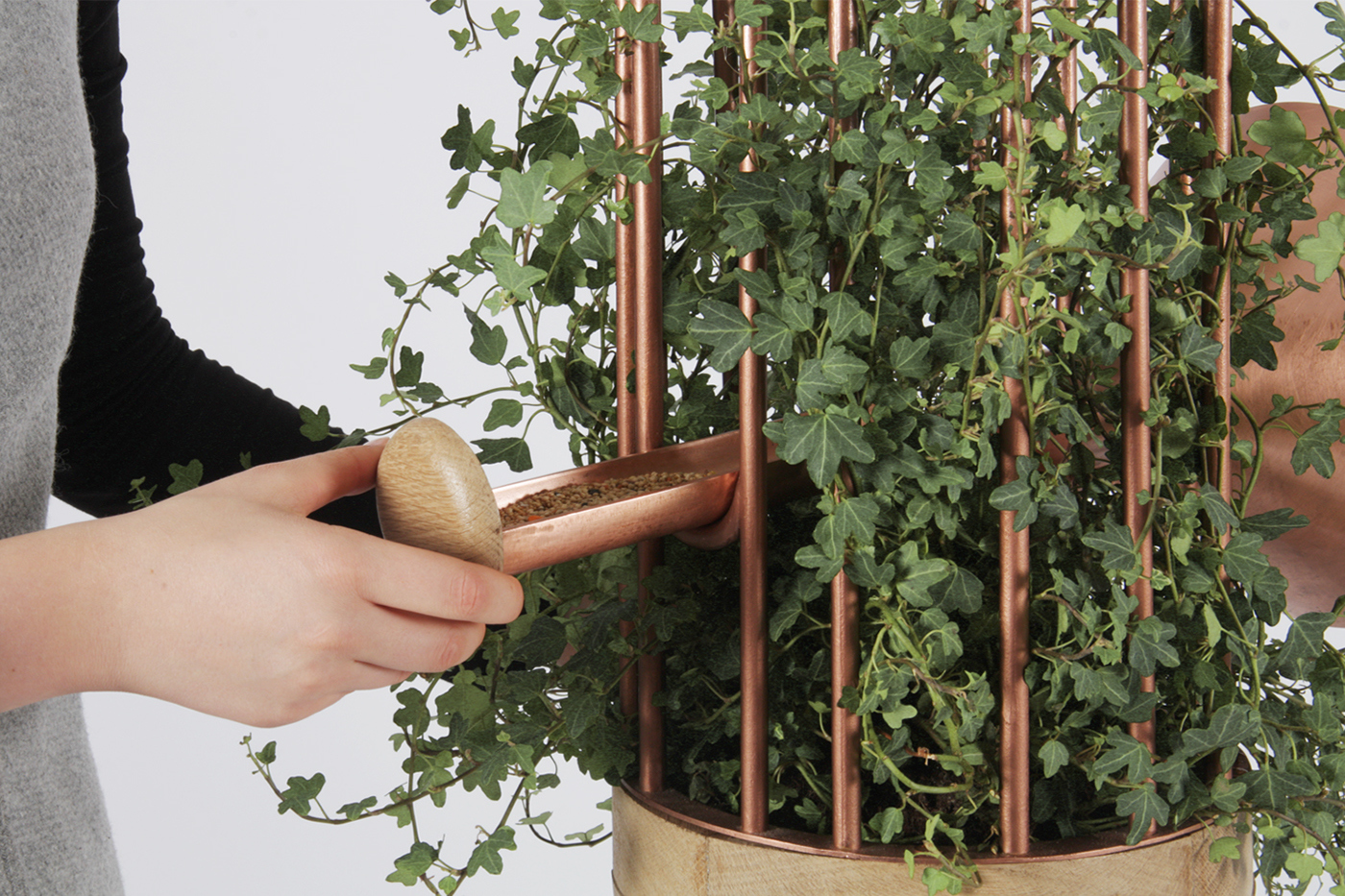 cage，Metal，Green plants，Home Furnishing，decorate，