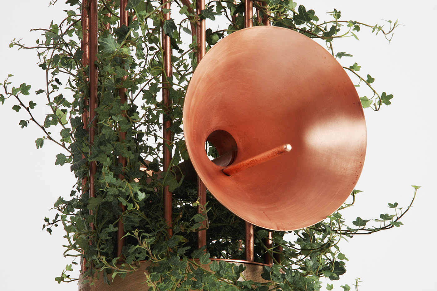 鸟笼，金属，绿色植物，家居，装饰，