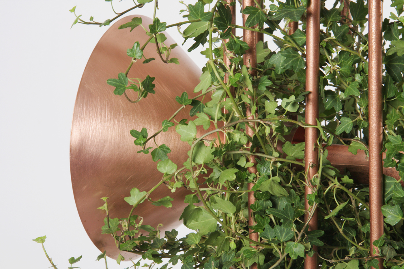 cage，Metal，Green plants，Home Furnishing，decorate，