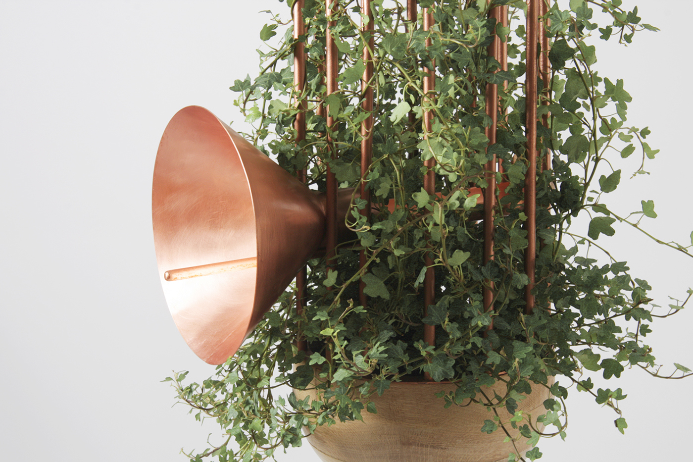 cage，Metal，Green plants，Home Furnishing，decorate，