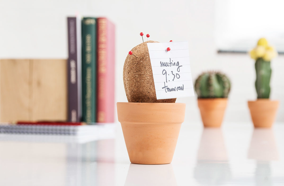 cork，Office Supplies，Cactus，bionics，Note holder，