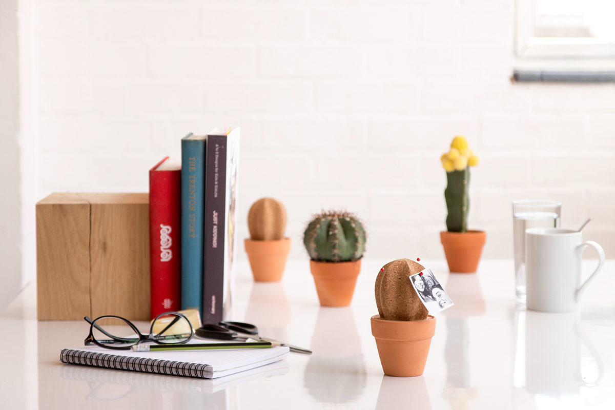 cork，Office Supplies，Cactus，bionics，Note holder，