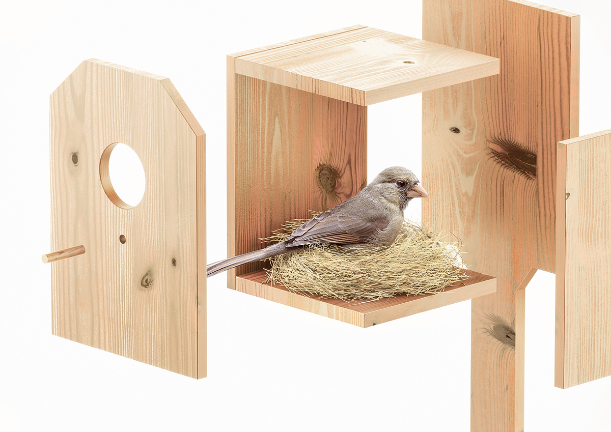 woodiness，Bird's nest，NEW EGG，