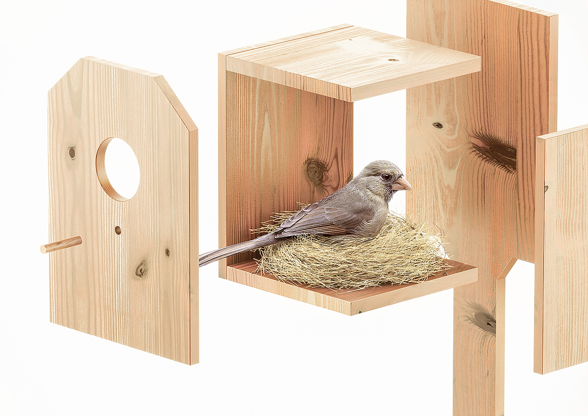 woodiness，Bird's nest，NEW EGG，