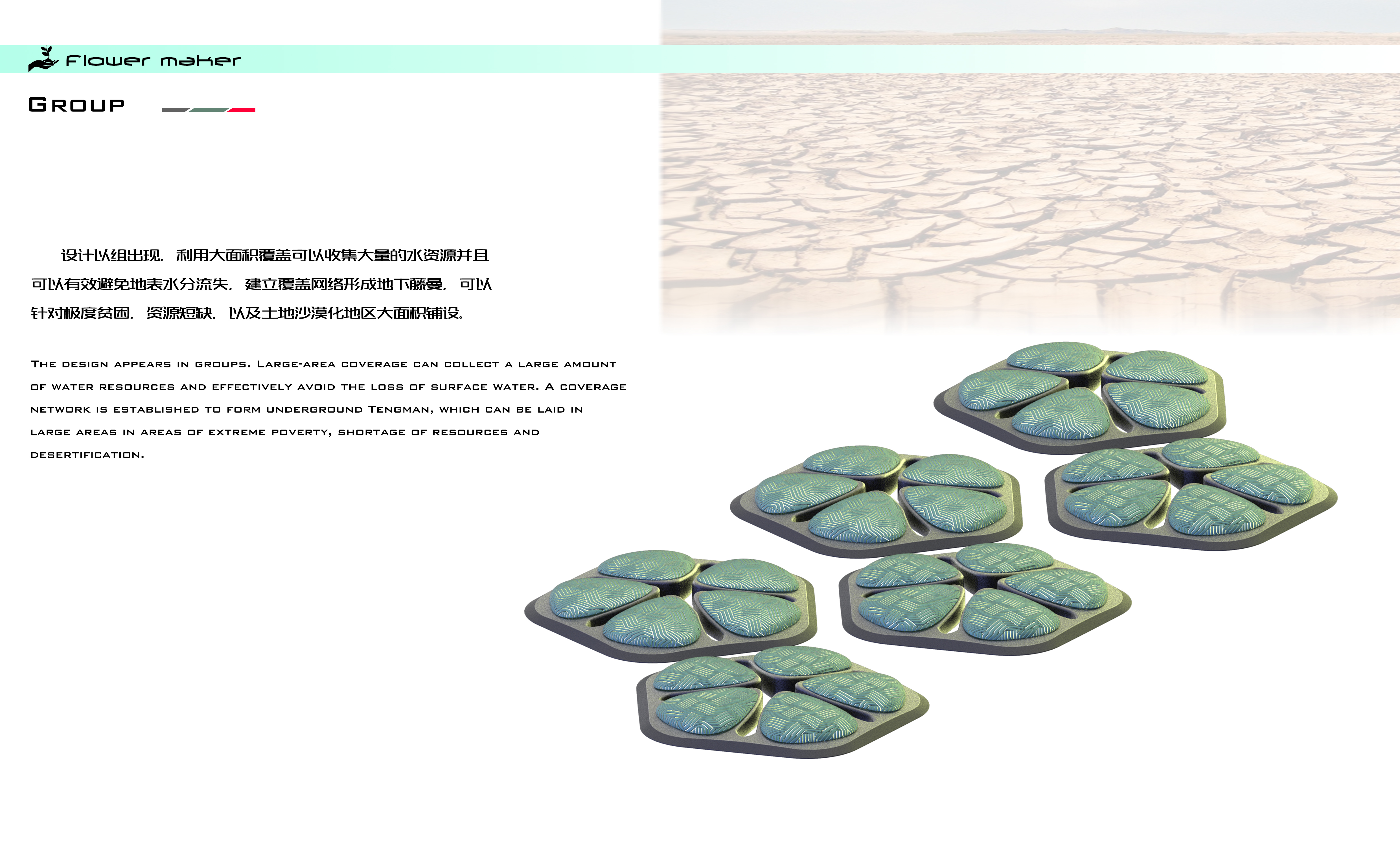 Rainwater collection, large area, Africa, flowers, water, poverty，