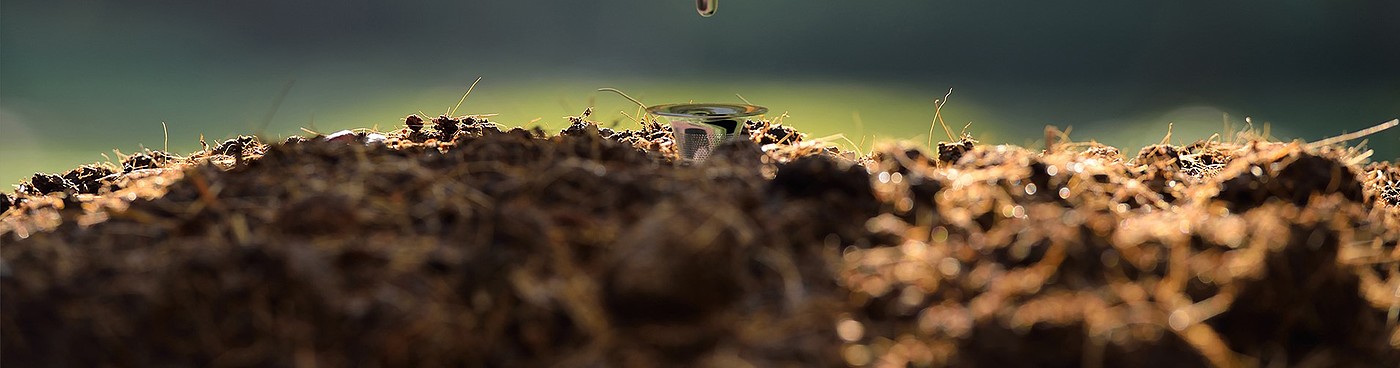 Rainwater collection, large area, Africa, flowers, water, poverty，