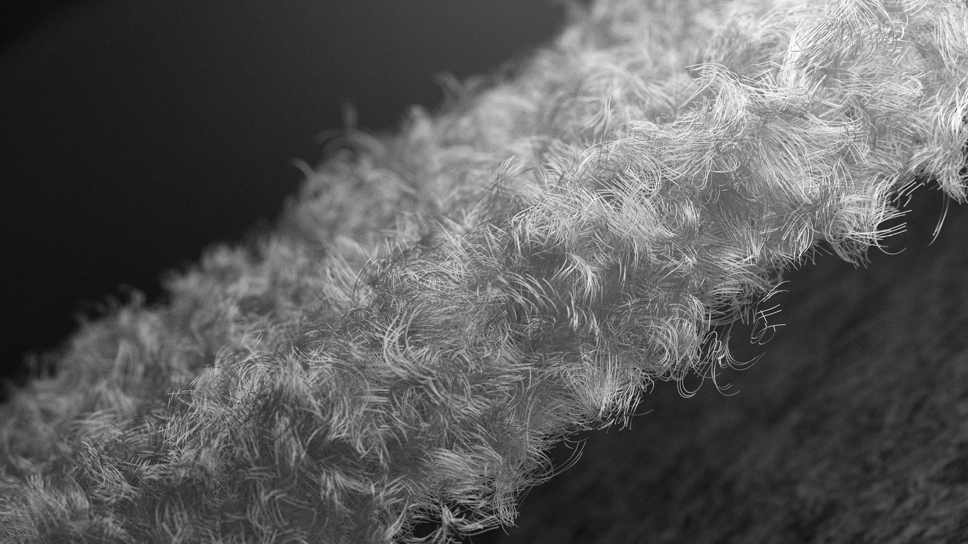 Design，June 2019，Art guidance，illustration，