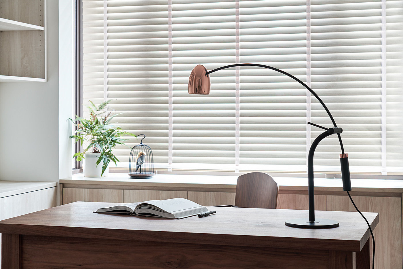 Interior design，Home design，Seed design，