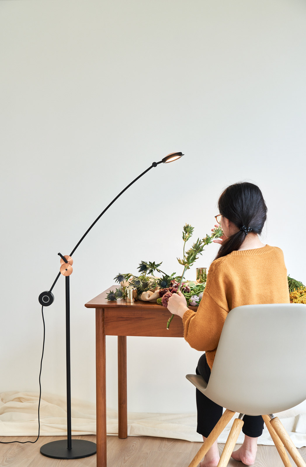 Interior design，Home design，Seed design，