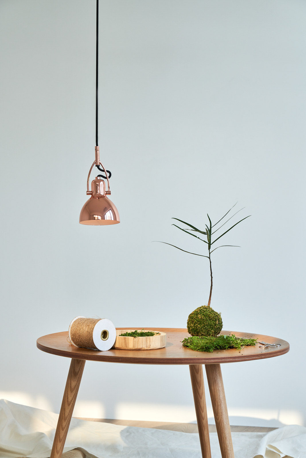 Interior design，Home design，Seed design，