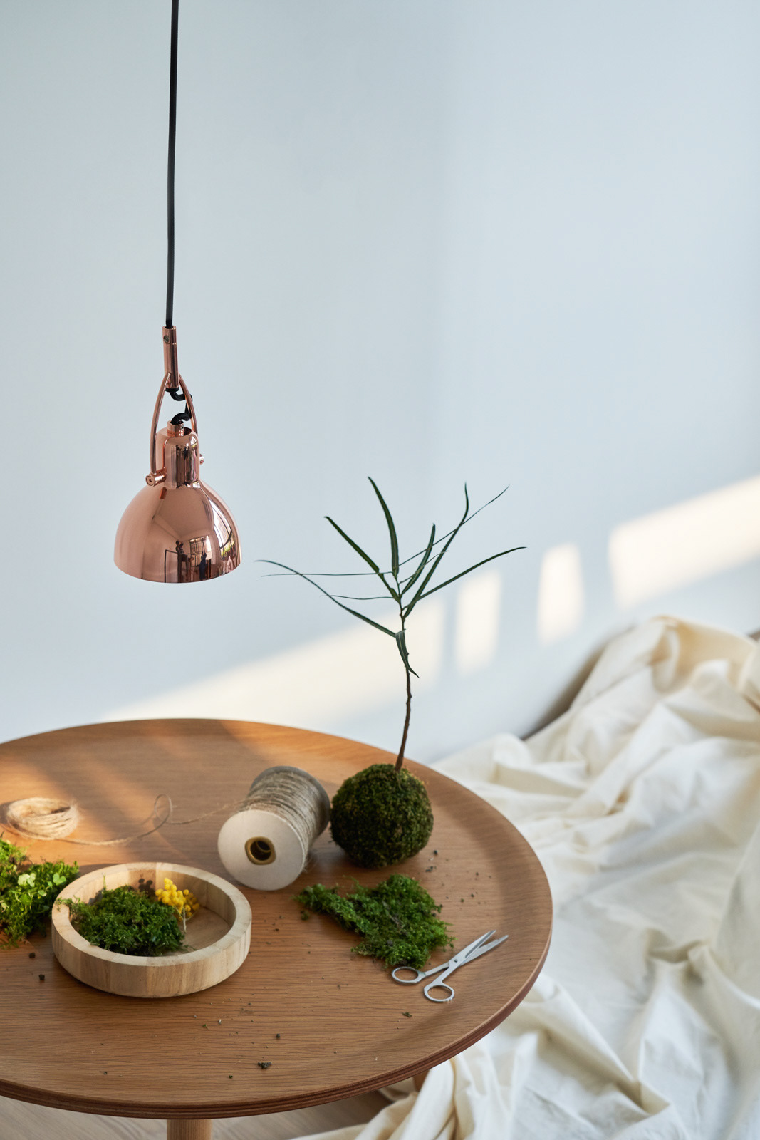 Interior design，Home design，Seed design，