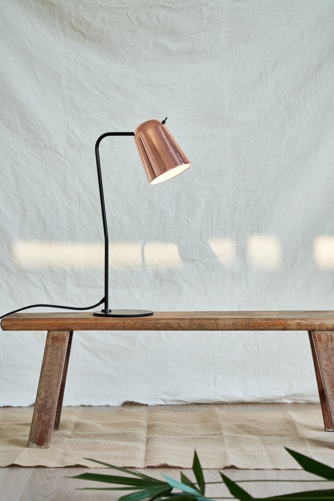 Interior design，Home design，Seed design，