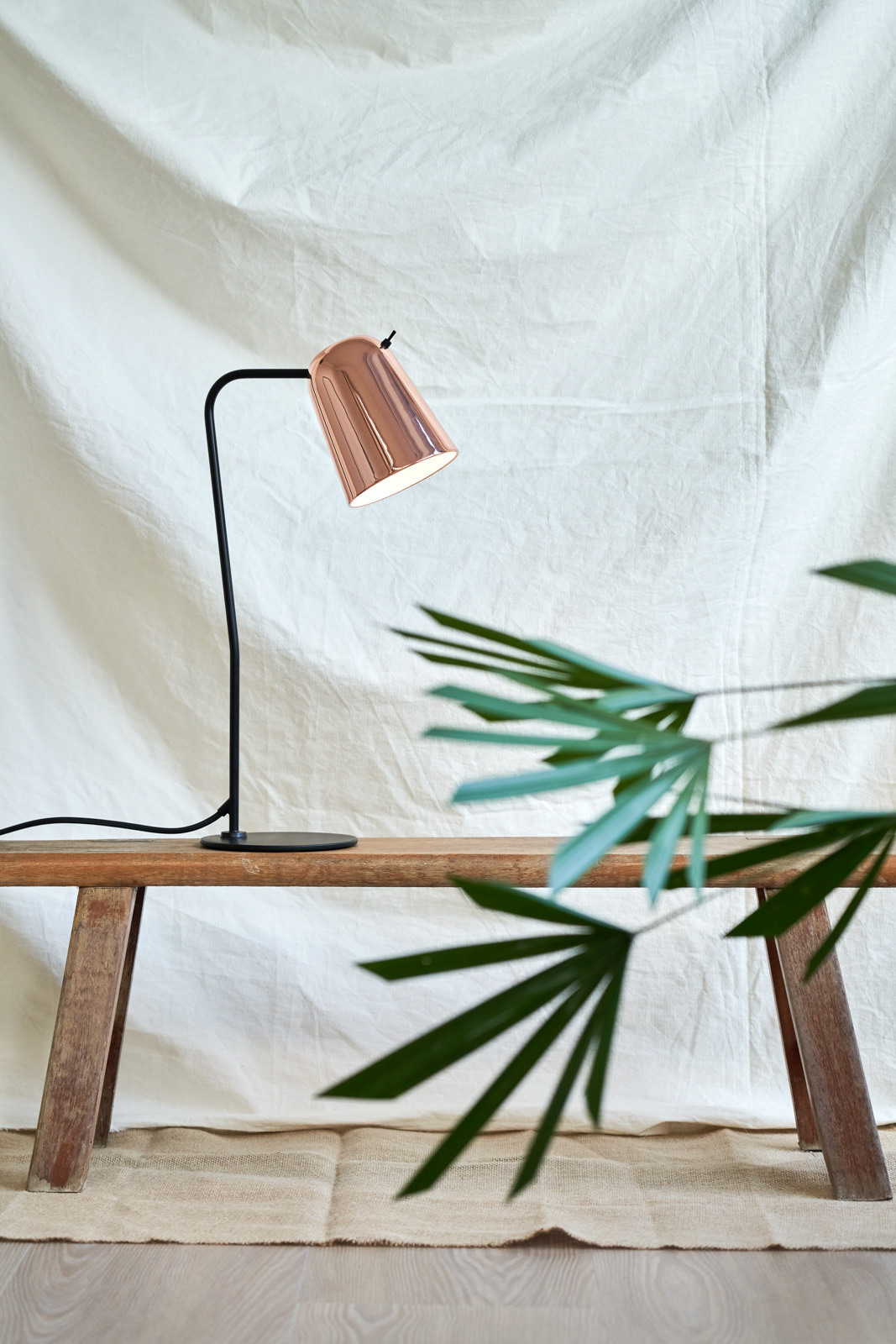 Interior design，Home design，Seed design，