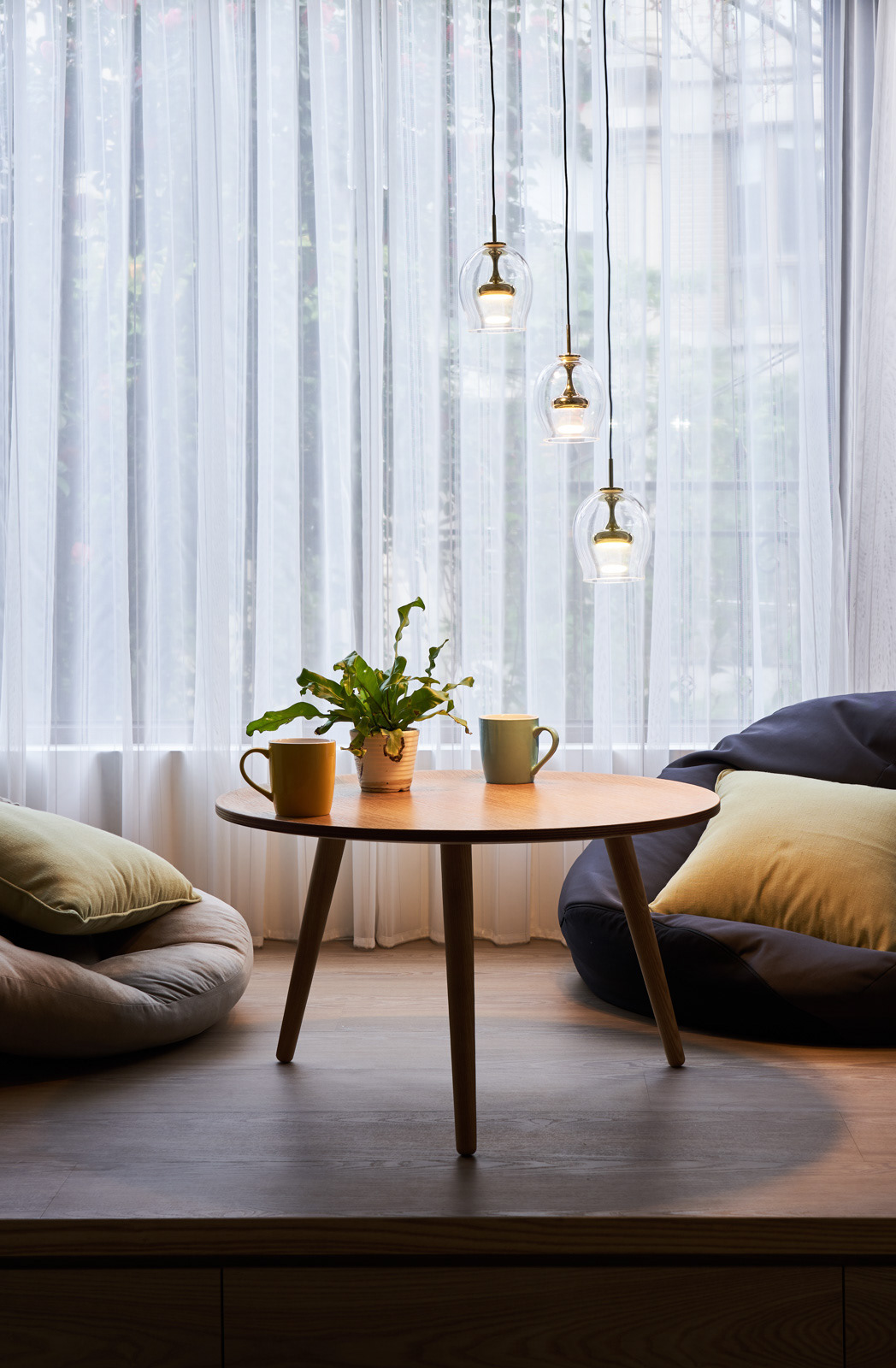 Interior design，Home design，Seed design，