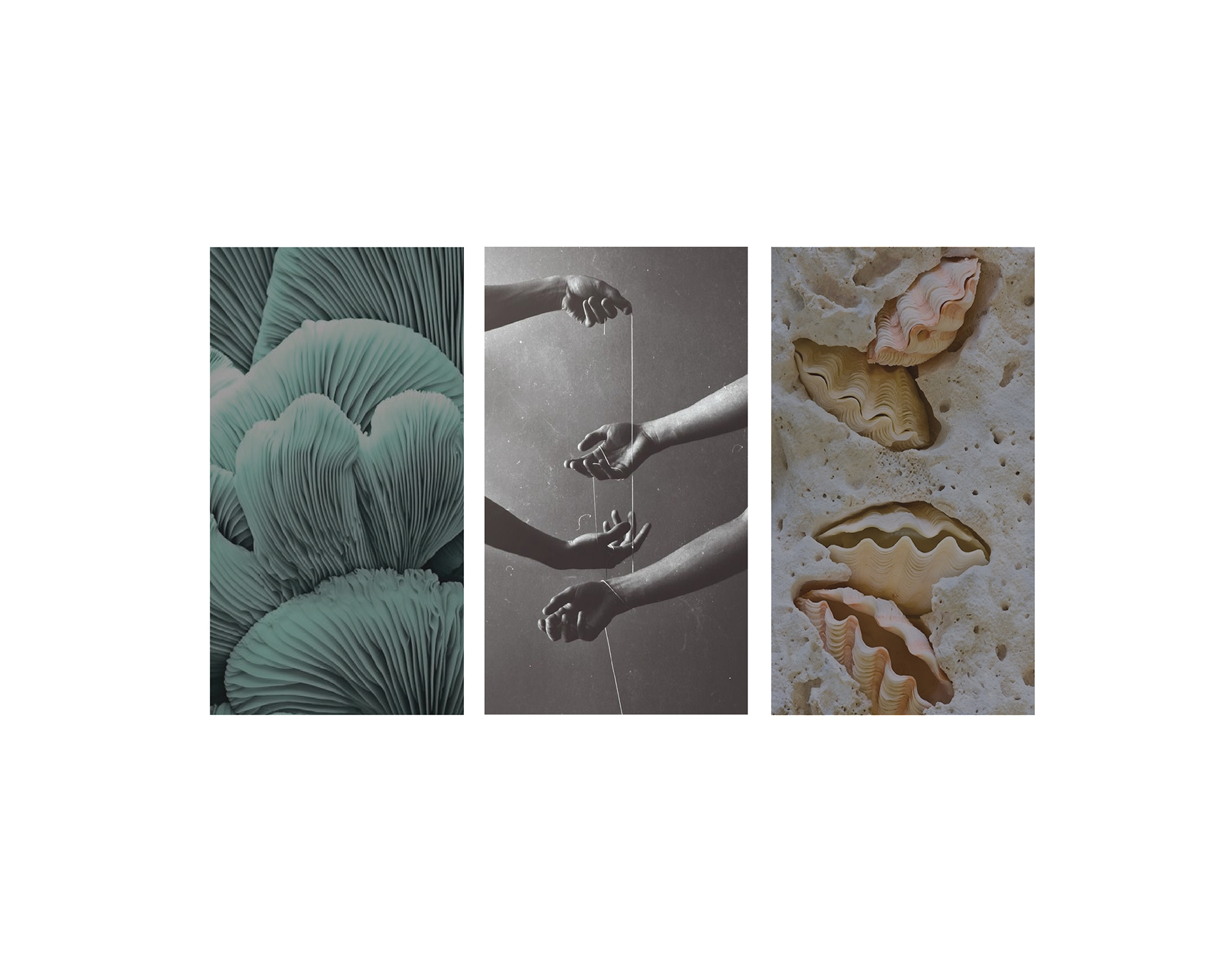 Glass，Spoon，workmanship，