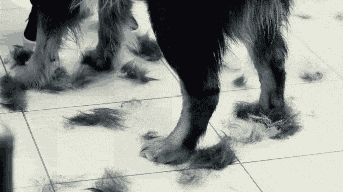 Intelligent vacuum cleaner，Robot vacuum cleaner，Rob，Vacuum cleaner，Mirawatts，