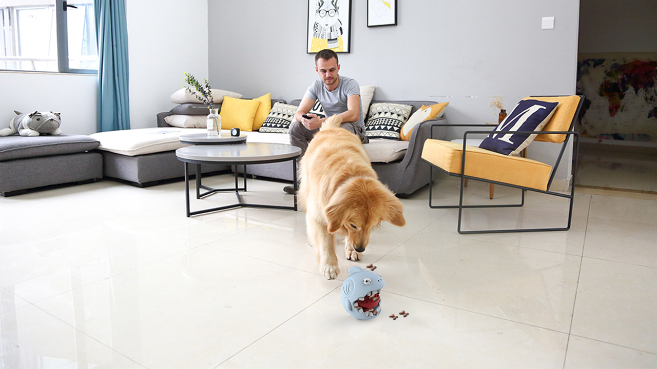 Pets，Oral cleaning，Toy ball，