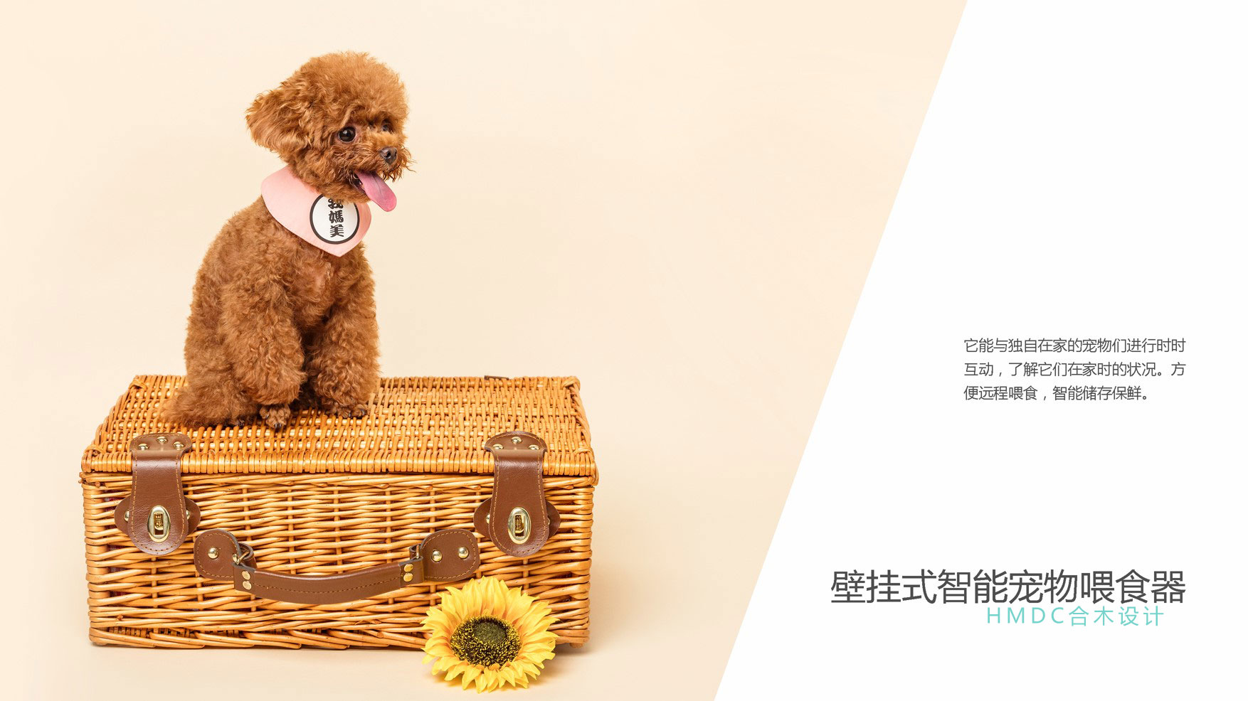 industrial design，sample reels，Postgraduate entrance examination for industrial design，Rhinoceros modeling，product design，