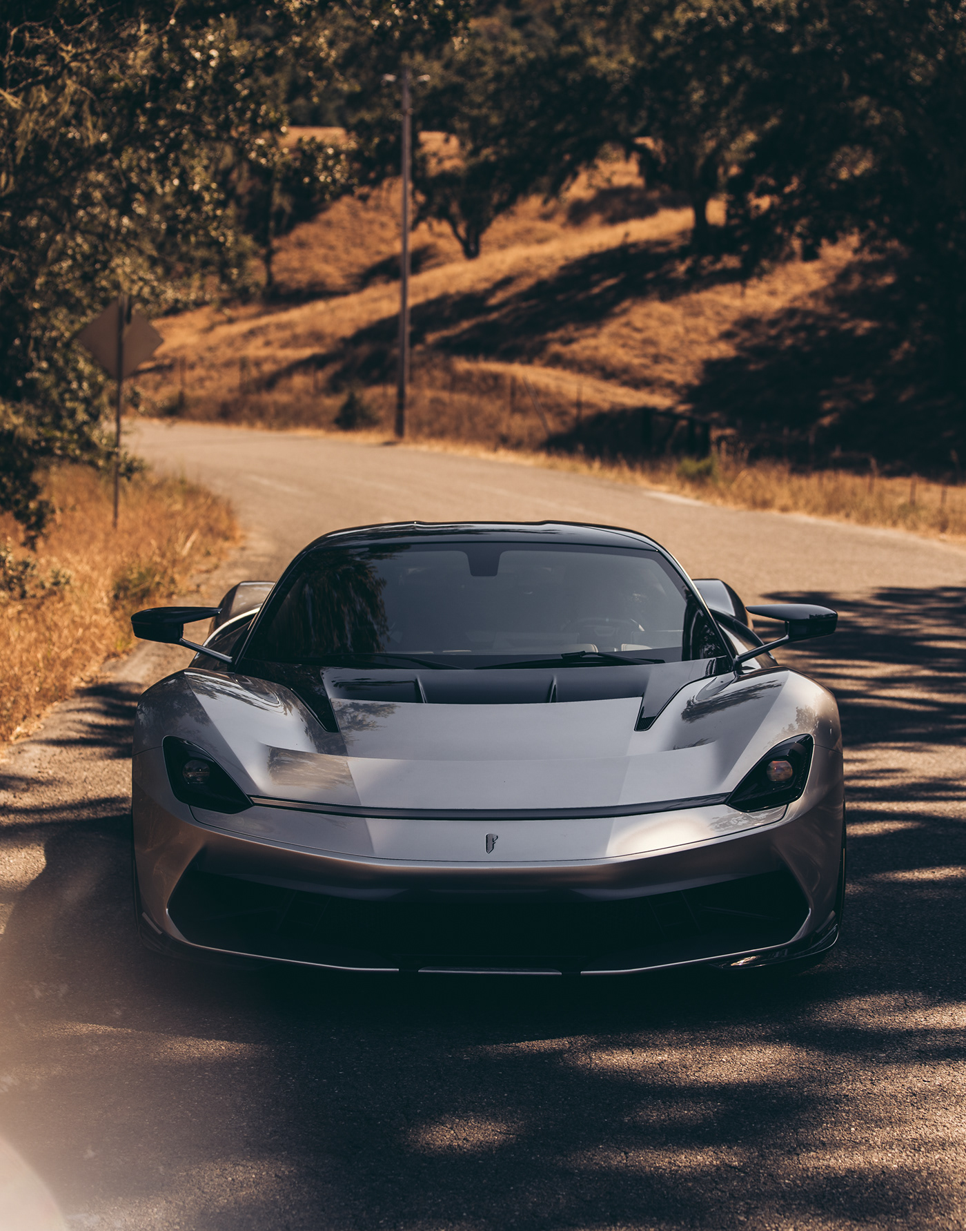 silver，Automobile design，Battista，