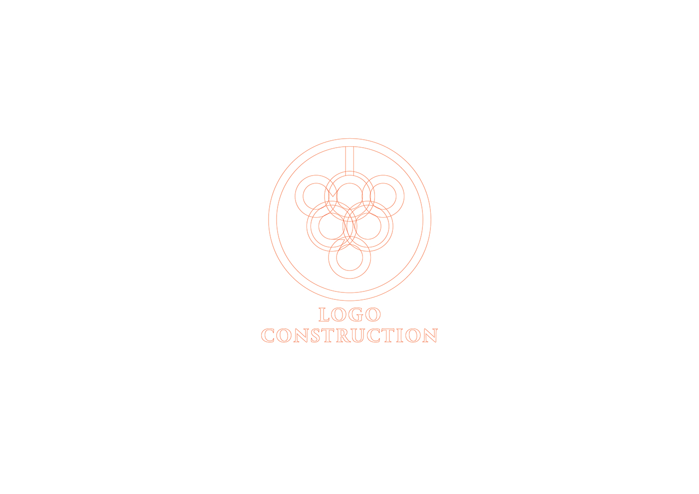 Bigar Wine Bottle，packing design，woodiness，Wine，