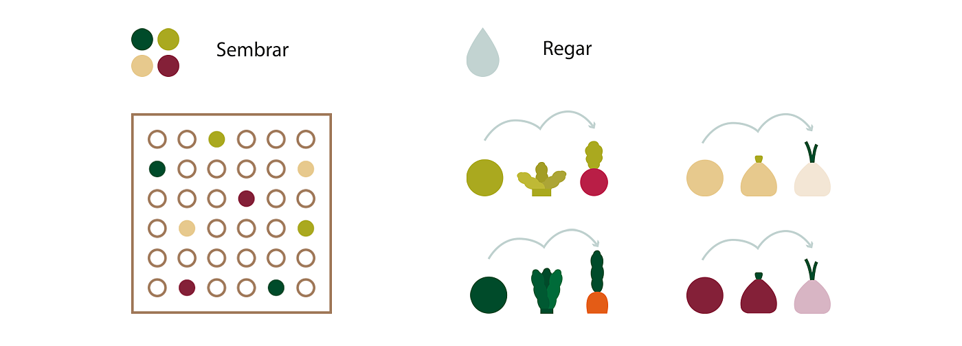 儿童，棋类游戏，植物，种植，玩具，