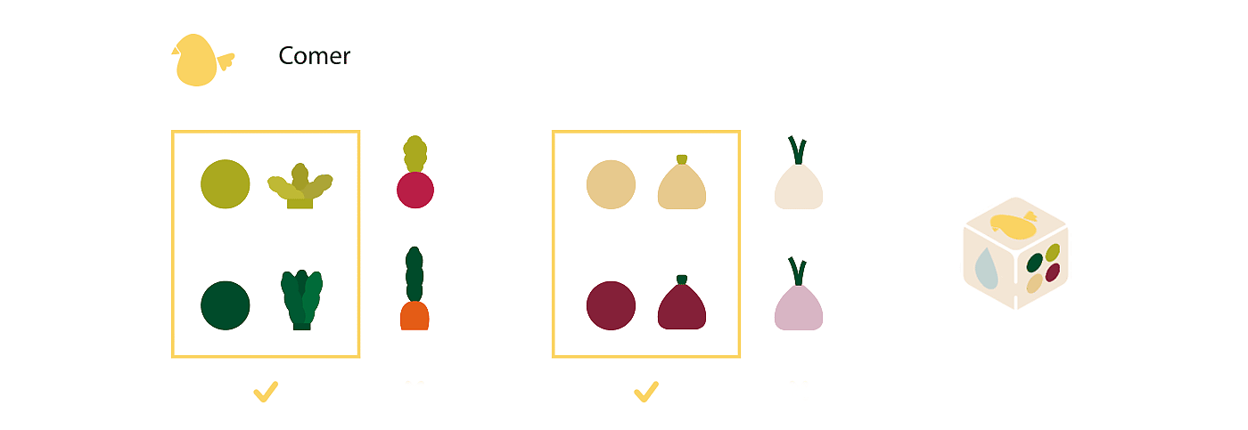 children，Board games，Botany，plant，Toys，