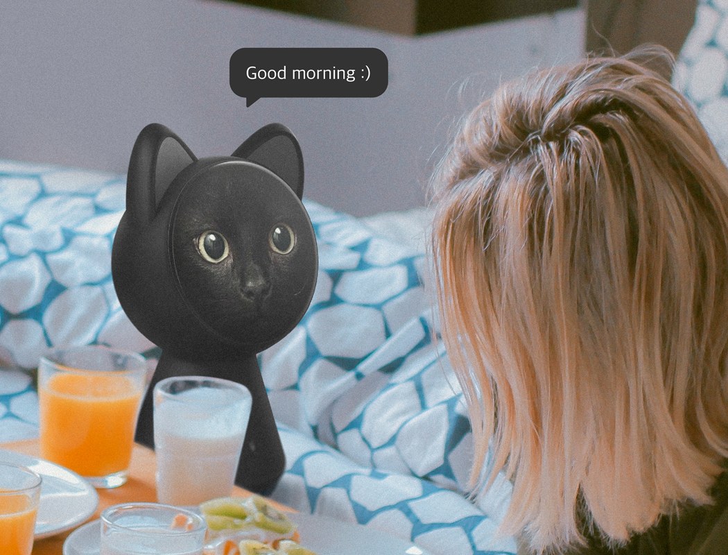 Electronic equipment control，Pets，intelligence，Electronic equipment，