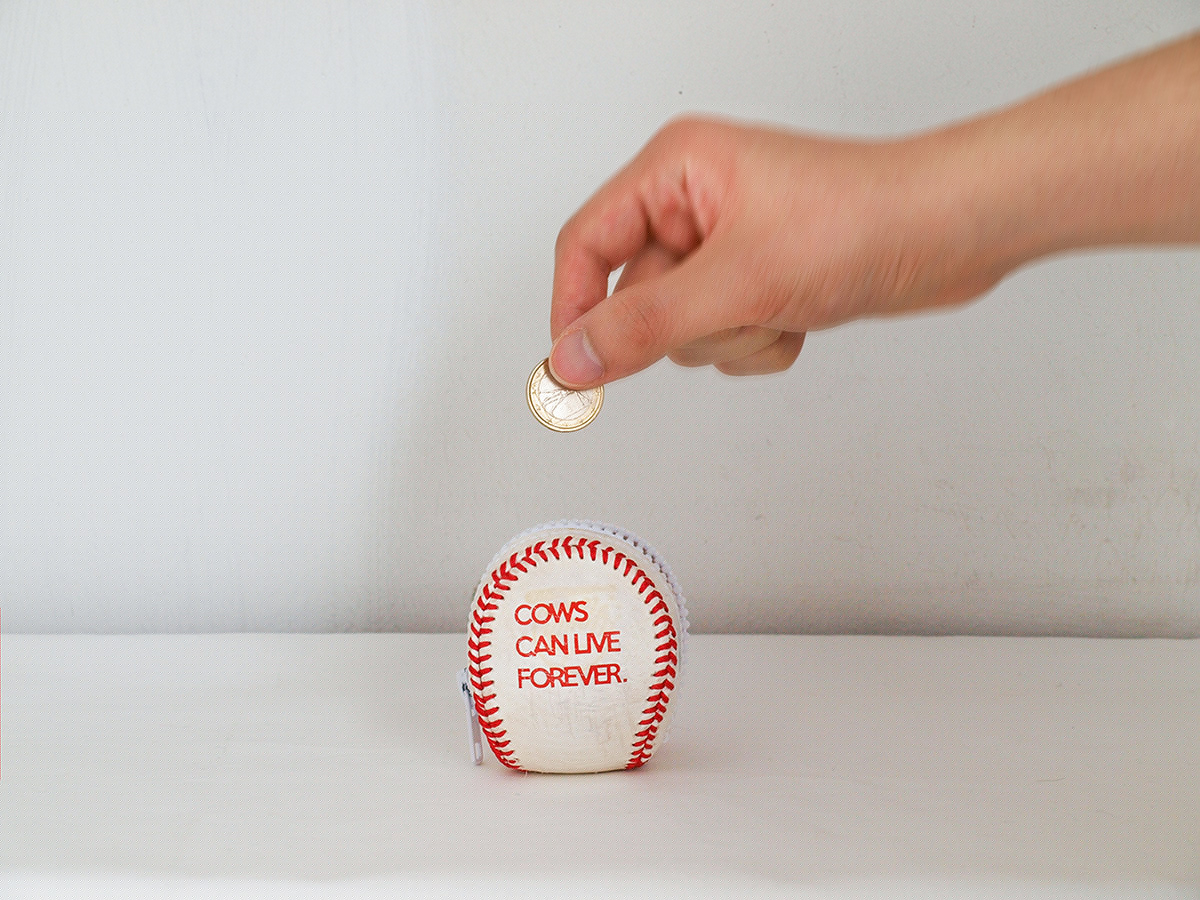 environment protection，Recyclable，Baseball cover，