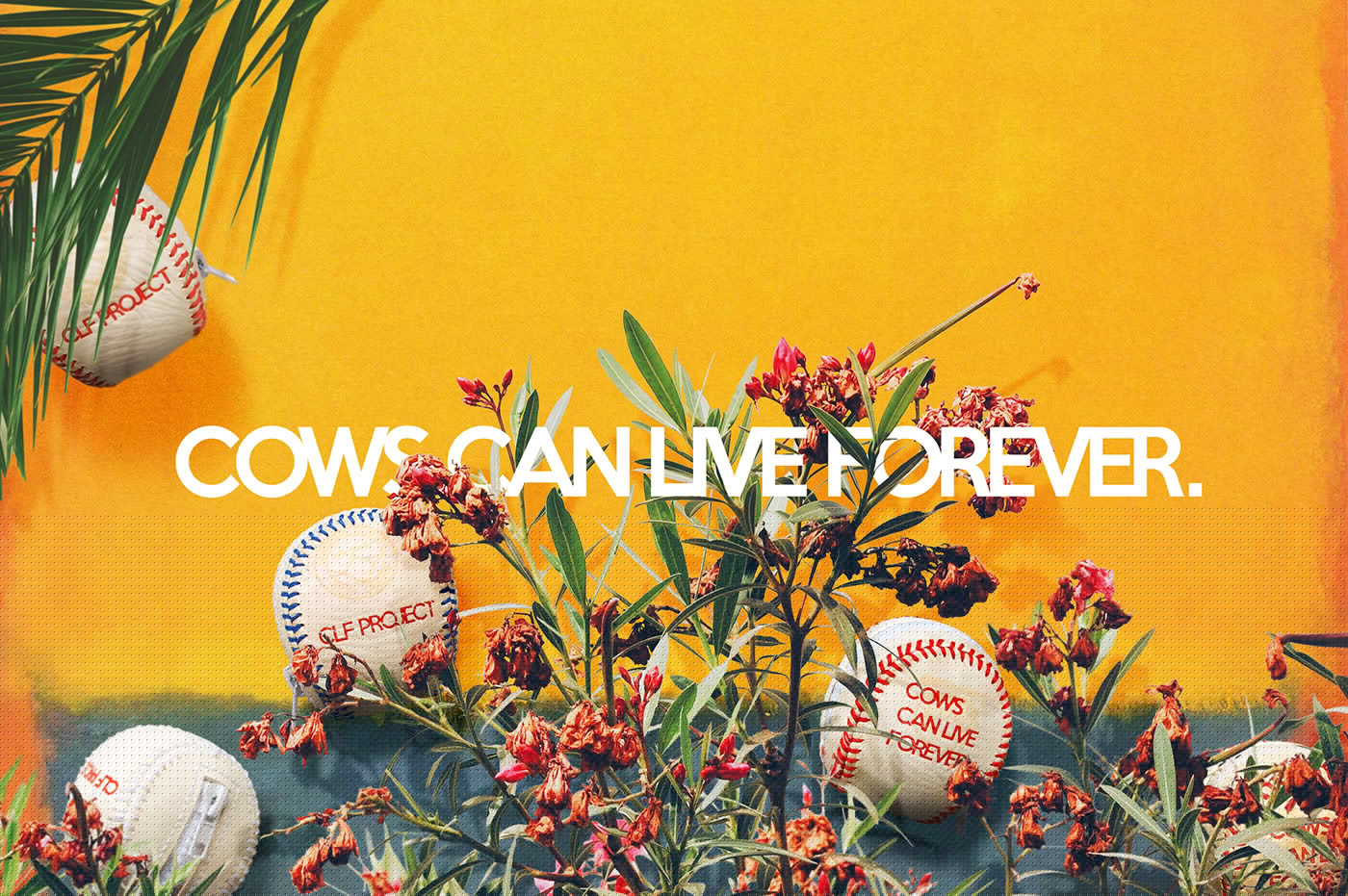 environment protection，Recyclable，Baseball cover，