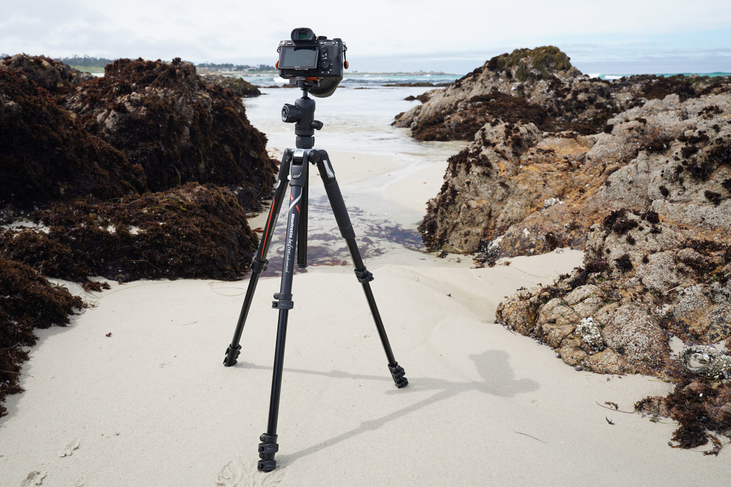 reddot,摄影器材,三角架,2019红点产品设计大奖