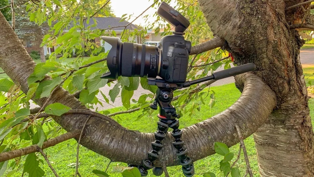reddot，Camera Equipment，lampstand，2019 red dot product design award，