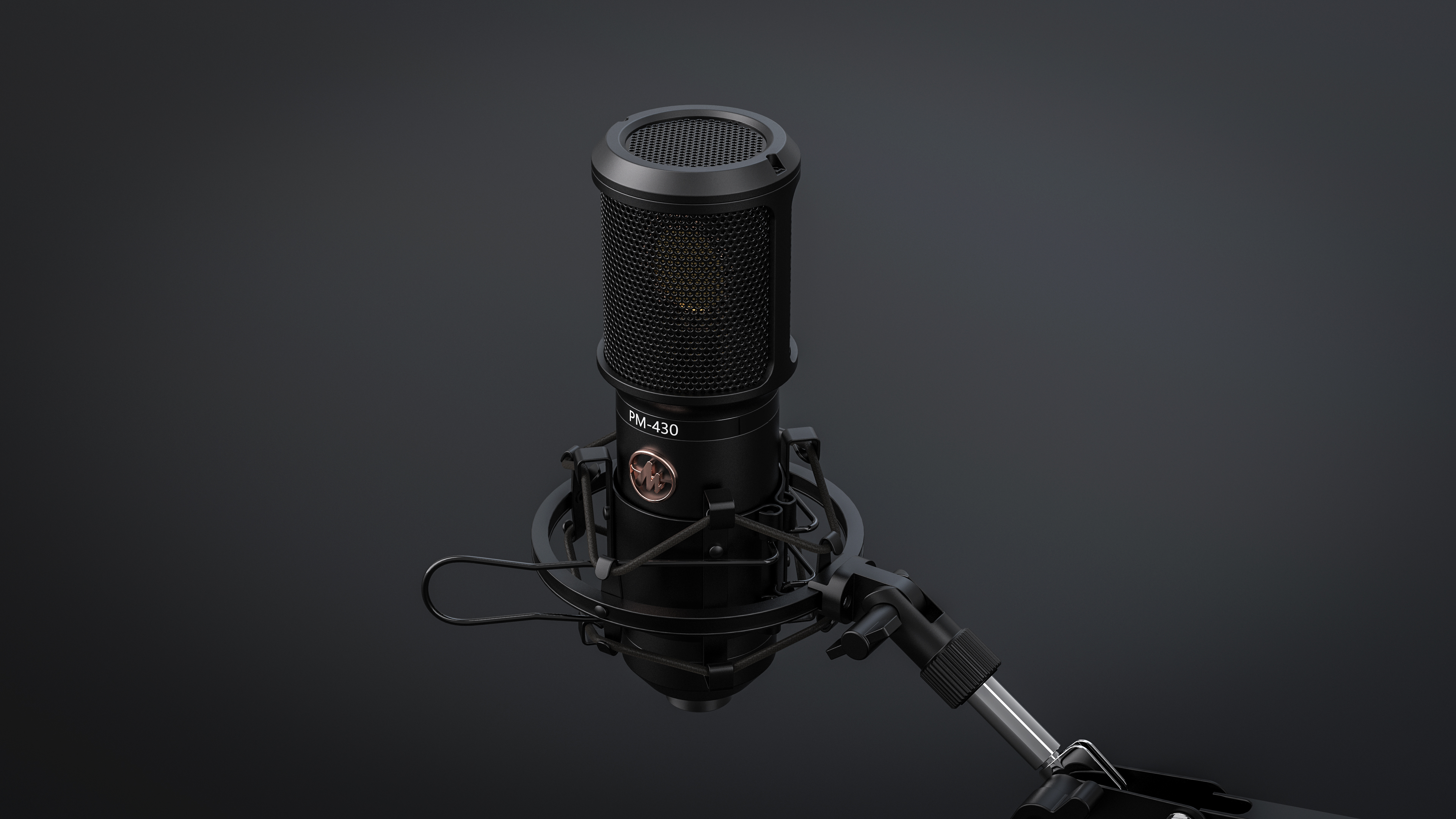 Large diaphragm，Black tone，Microphone，performance，audio frequency，sound recording，go to karaoke，