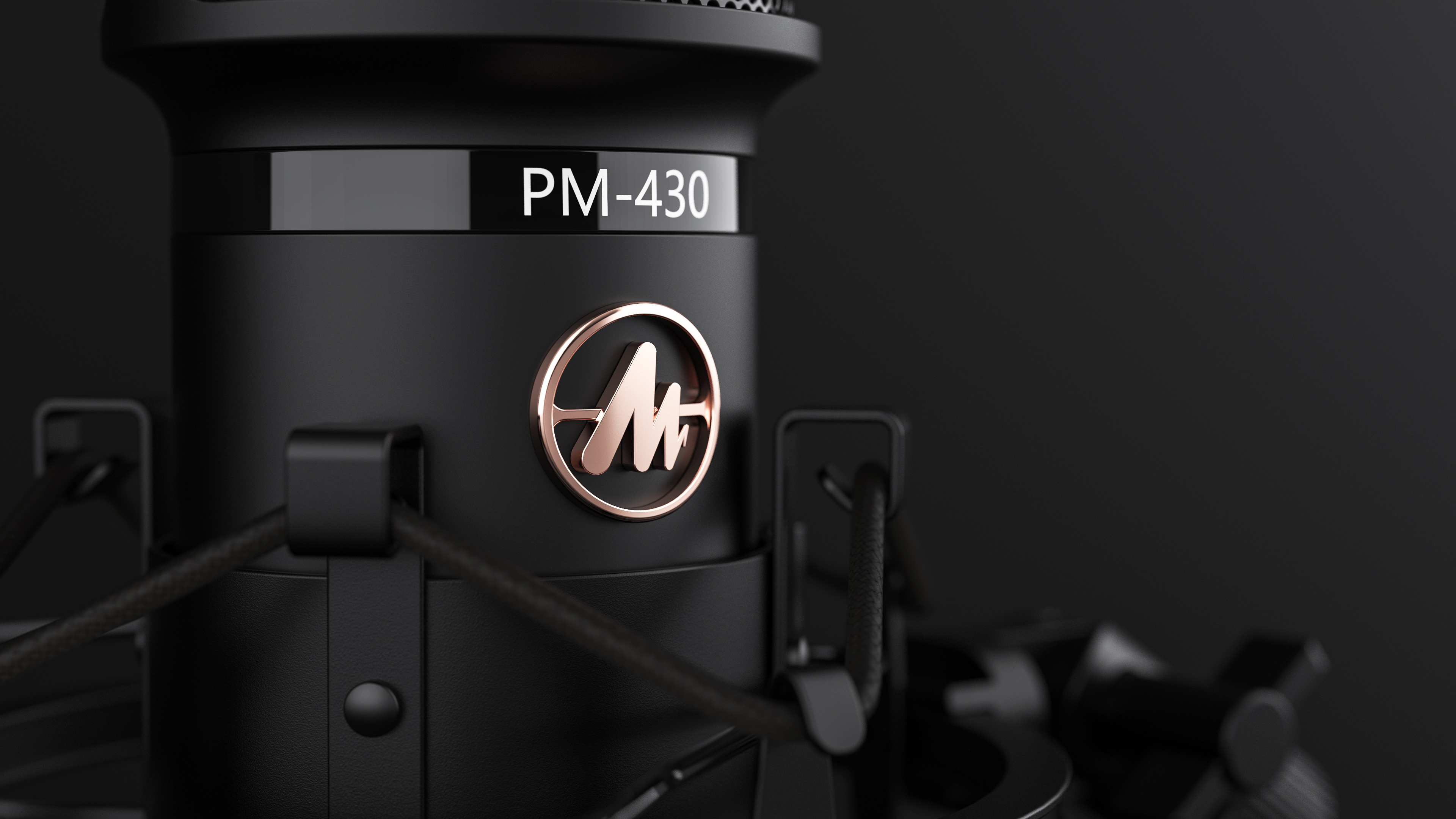 Large diaphragm，Black tone，Microphone，performance，audio frequency，sound recording，go to karaoke，