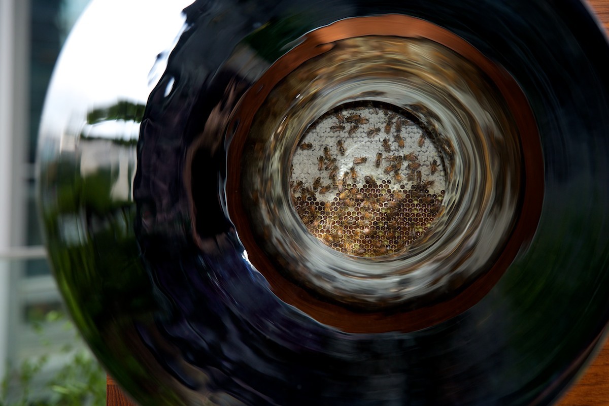 honeybee，hive，brew，