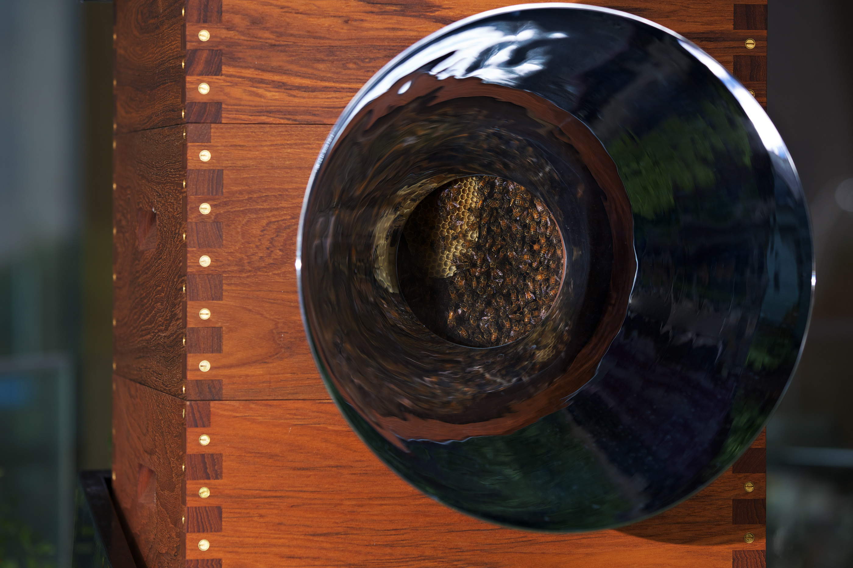 honeybee，hive，brew，