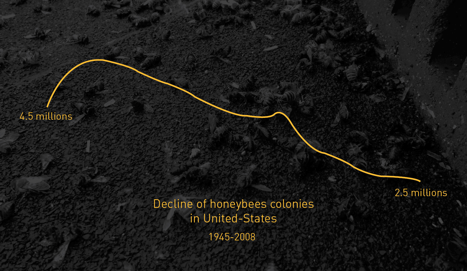 hive，hive，honeybee，