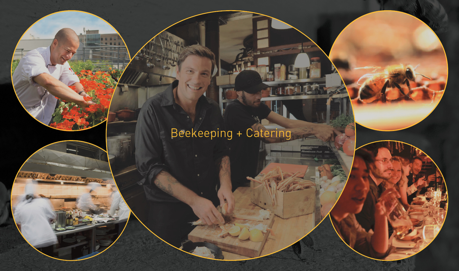 hive，hive，honeybee，