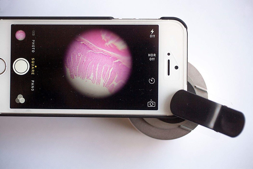 Microcellular，Microscope，camera，mobile phone，