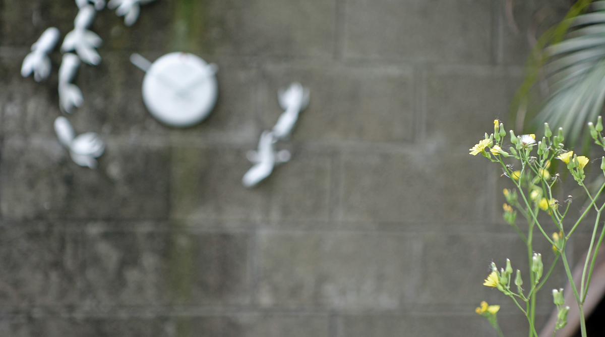 Clock，Home Furnishing，articles for daily use，originality，Goldfish，