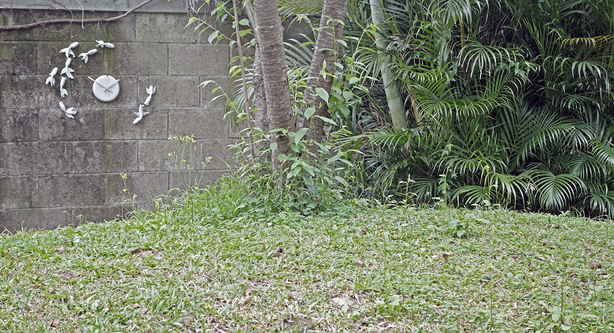 Clock，Home Furnishing，articles for daily use，originality，Goldfish，