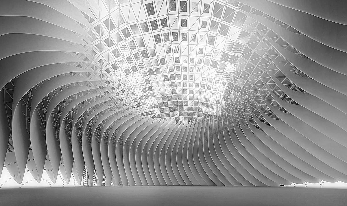 geometry，structural morphology，Model，Structure and surface experiment，parameter，