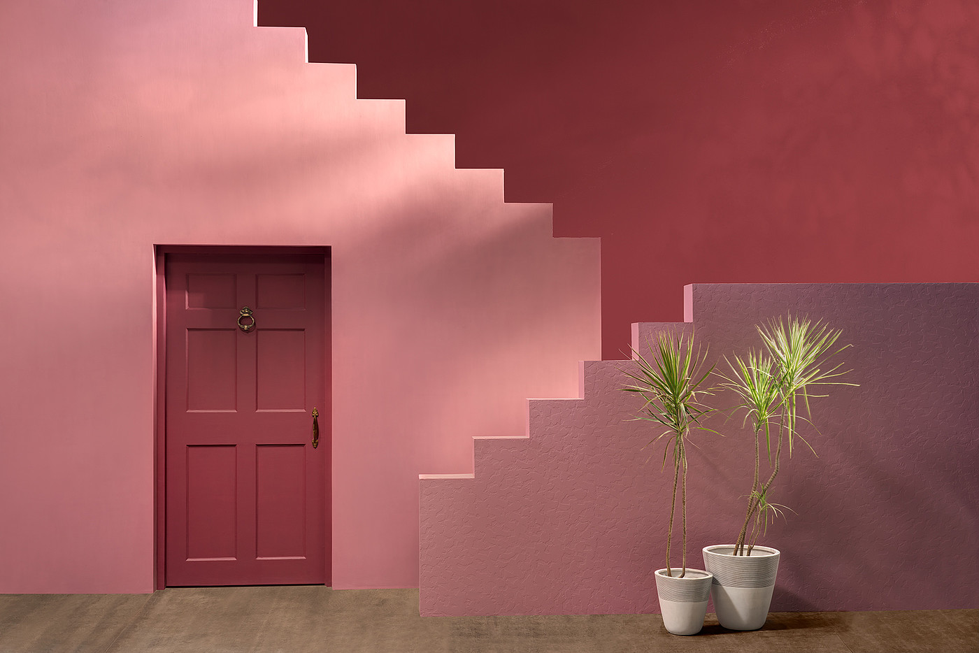 亚洲涂料颜色NEXT2019，粉色颜料，摄影，室内设计，