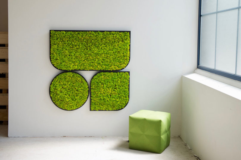 BuzziMood，Green plant wall，green，