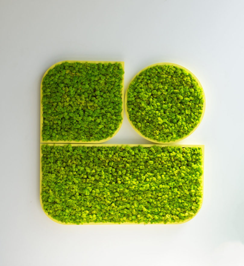 BuzziMood，Green plant wall，green，