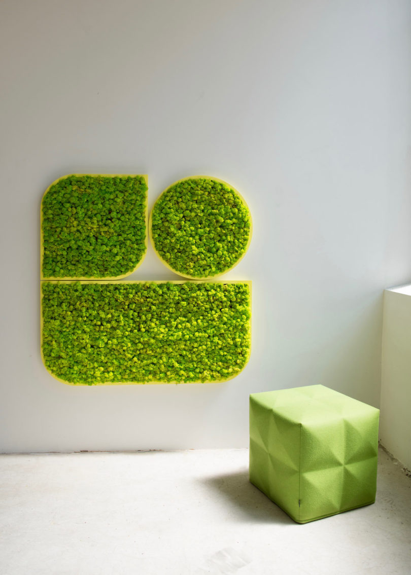 BuzziMood，Green plant wall，green，