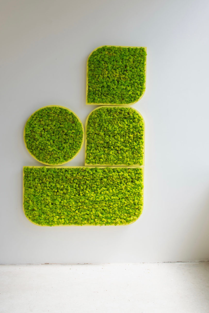 BuzziMood，Green plant wall，green，